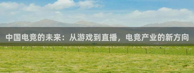 蜂鸟电竞怎么押注