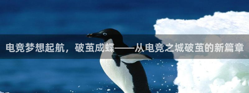 蜂鸟电竞app官方下载：电竞梦想起航，破茧成蝶——从电竞之城破茧的新篇章