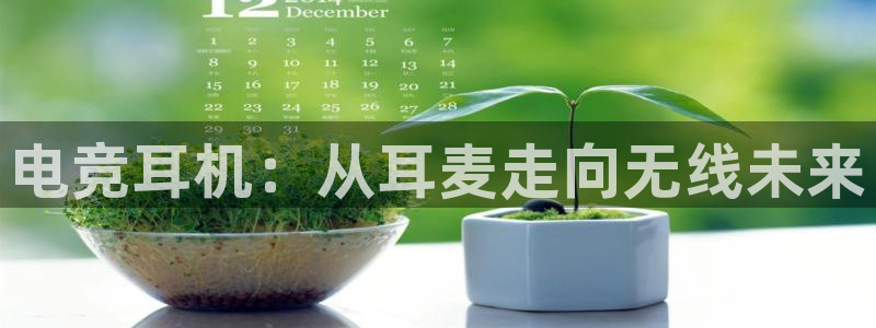 蜂鸟电竞全国多少门店啊