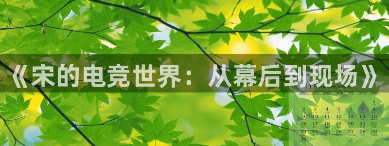 蜂鸟电竞下载：《宋的电竞世界：从幕后到现场》