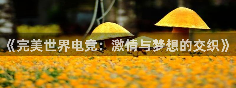 蜂鸟电竞全国多少门店啊：《完美世界电竞：激情与梦想的交织》