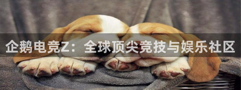 蜂鸟电竞下载：企鹅电竞Z：全球顶尖竞技与娱乐社区