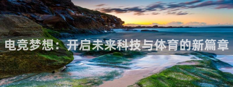 蜂鸟电竞怎么发布方案：电竞梦想：开启未来科技与体育的新篇章