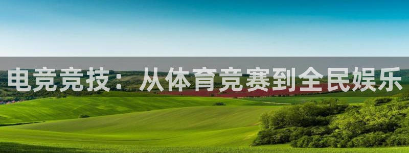 蜂鸟电竞：电竞竞技：从体育竞赛到全民娱乐
