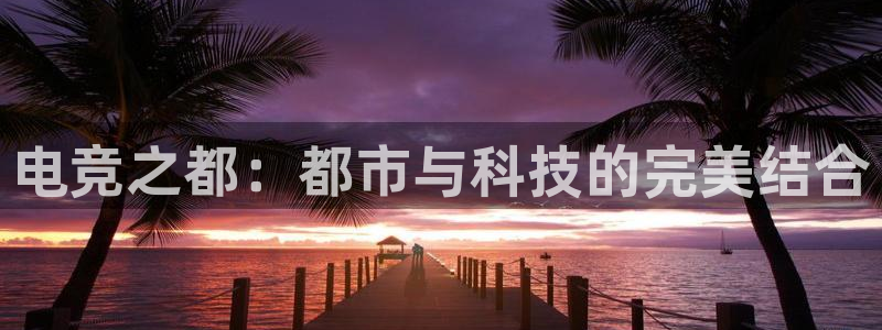 蜂鸟电竞怎么发布方案：电竞之都：都市与科技的完美结合