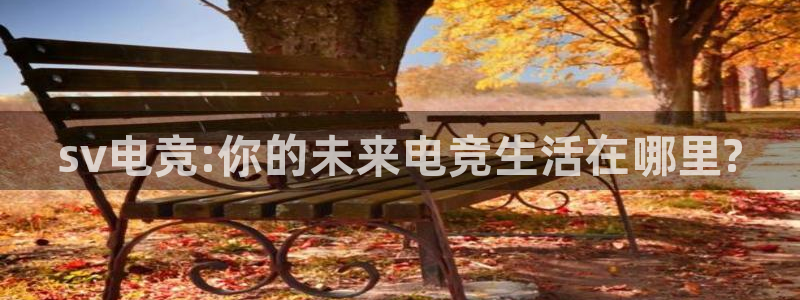 蜂鸟电竞怎么押注