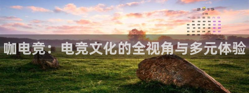 蜂鸟电竞下载